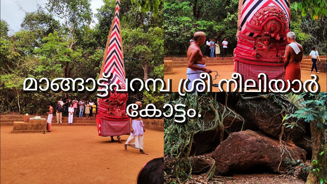 Mangattuparamba Sree Neeliyarkottam | Theyyam in forest | kannur