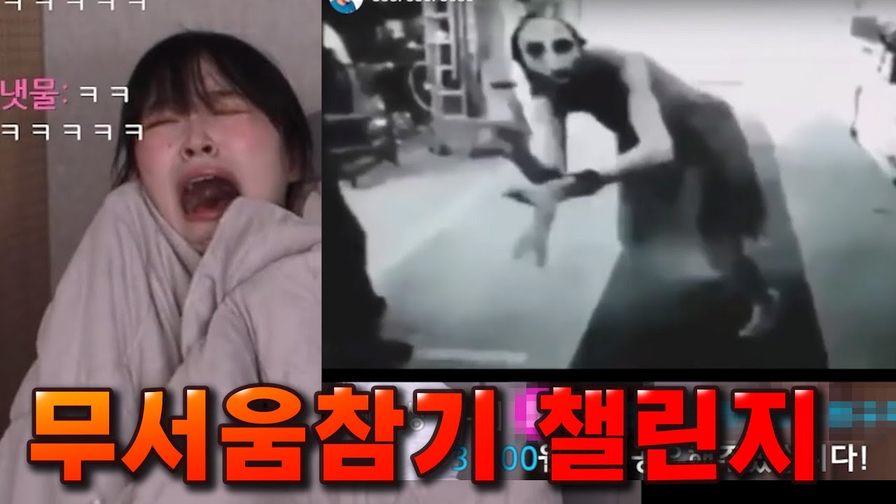 개쫄보가 공포 참기 도전합니다 (심약자 주의)