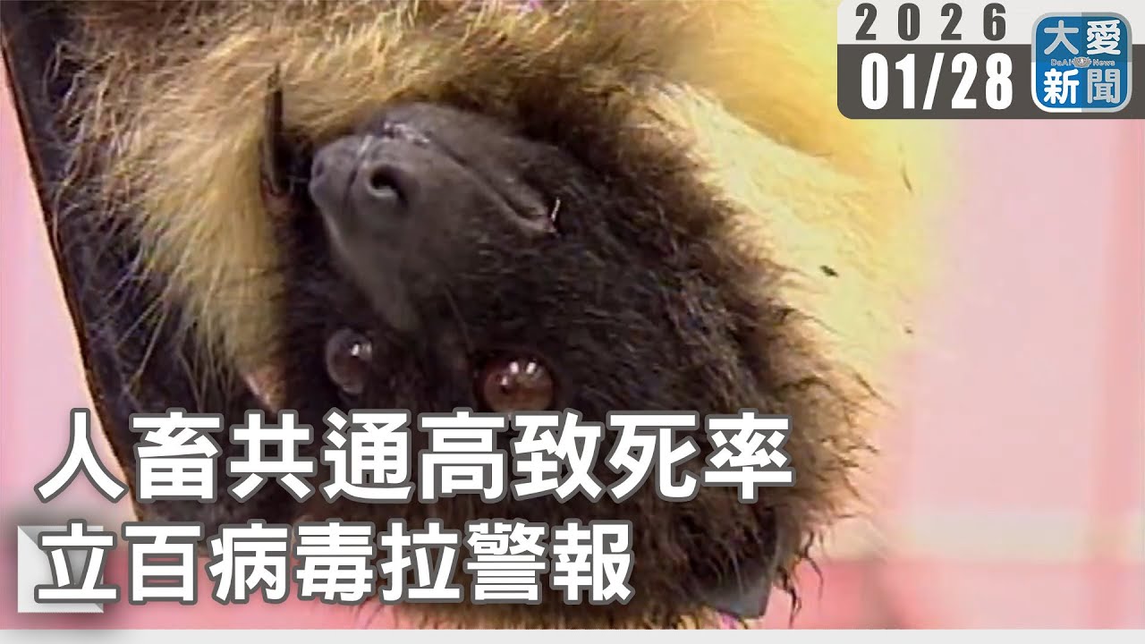 人畜共通高致死率  立百病毒拉警報｜#大愛新聞 #立百病毒 #傳染病