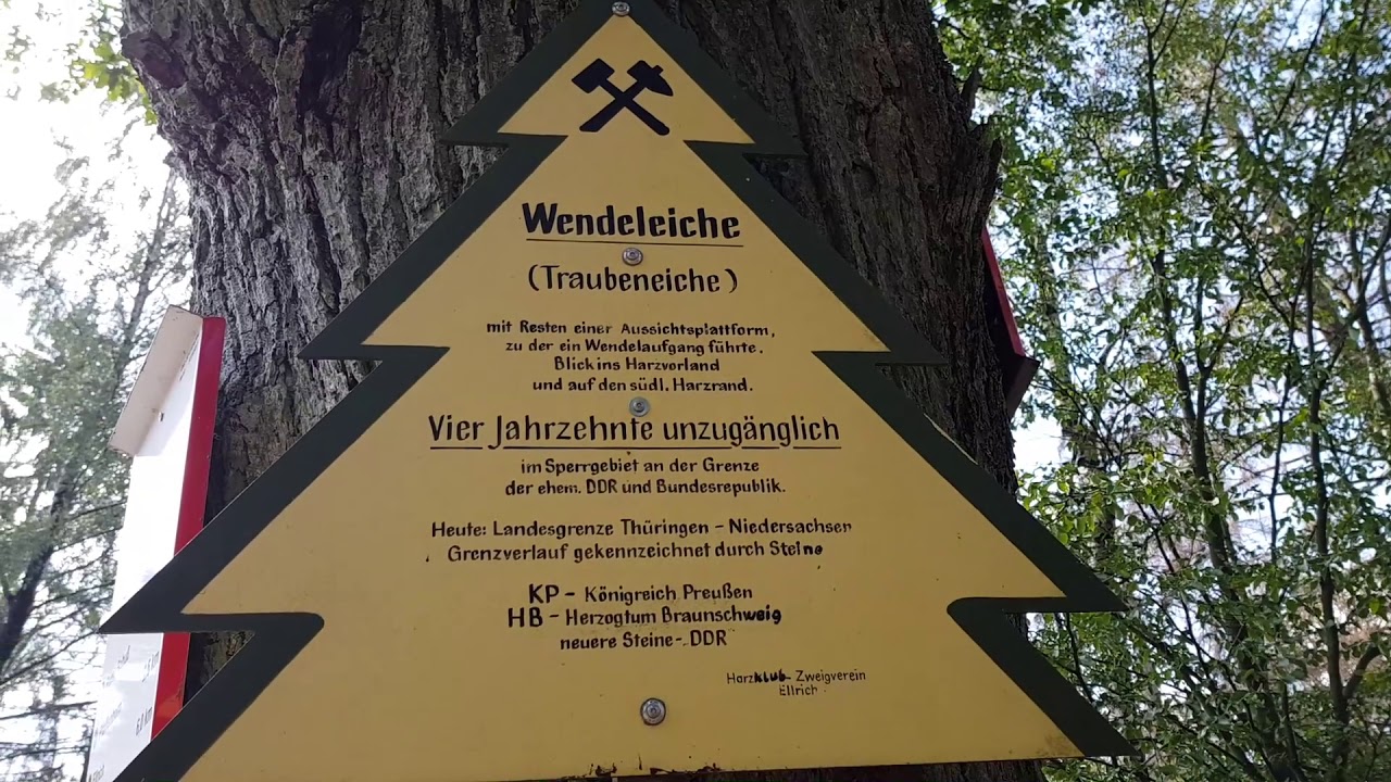 Wanderung Harzer Wandernadel: Roter Schuss - Wendeleiche - Grenzweg
