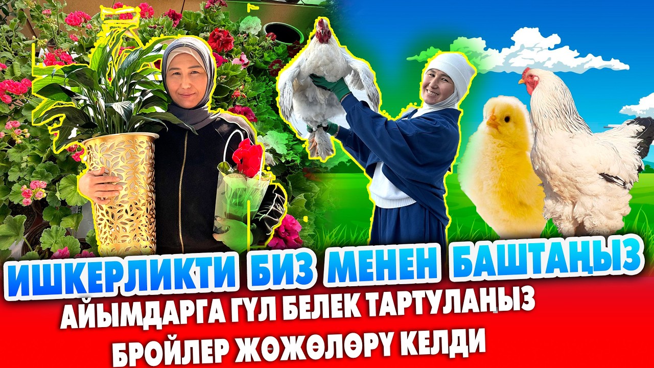 ЭМИ бизден ЖӨЖӨ алганча ЖУБАЙЫҢЫЗГА гүл да  АЛА КЕТЕСИЗ