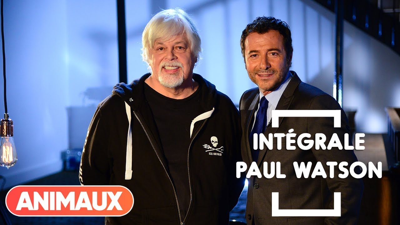 Paul Watson dans Animaux Stars (int&eacute;grale) - Animaux