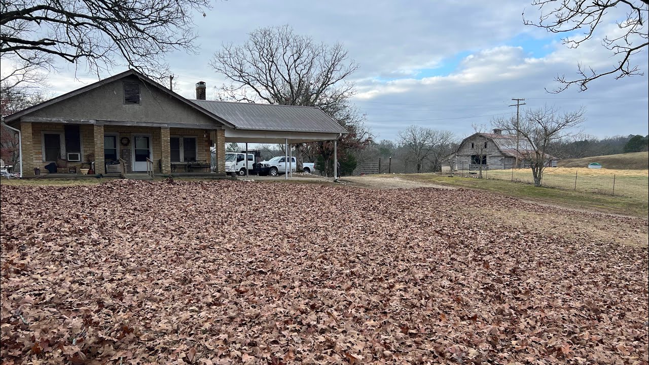 MAJOR LEAF CLEAN UP on families NEARLY 100 year old FARM! May just be MY FAVORITE leaf clean up YET!