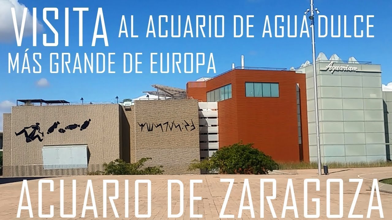 REVIEW: Sobre mi visita al acuario de Zaragoza
