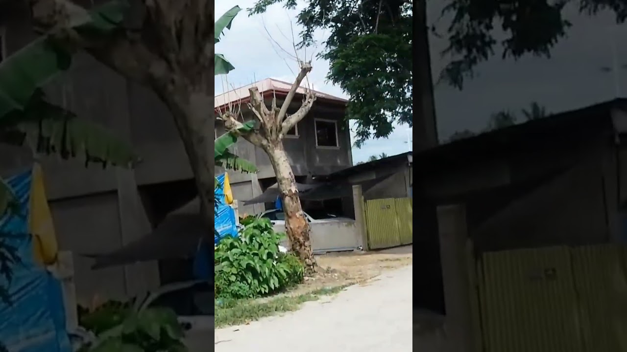 Dauis Bohol 4