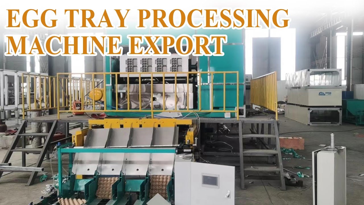 Egg Tray Processing Machine Exported Worldwide | Factory Direct Supply #egg #eggtray #recycle