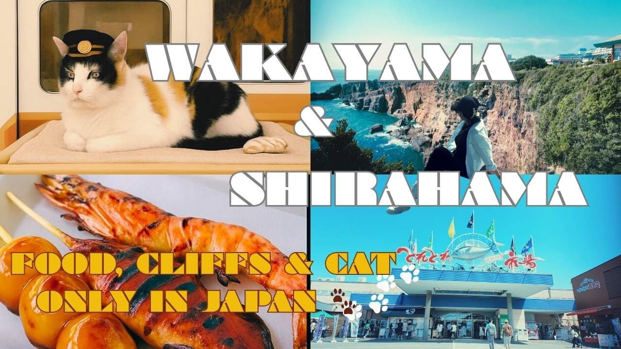 Exploring Wakayama & Shirahama | Tama Densha, Ciffside Adventure & Tore Tore Market  🐾 🐾 
