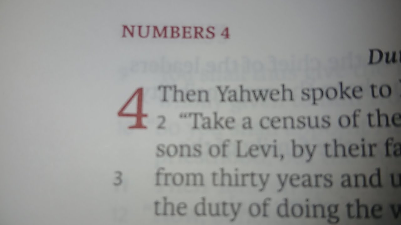 Numbers 4 LSB 