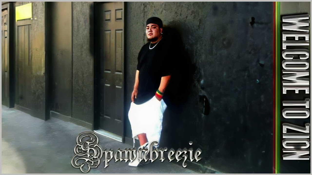 Spawnbreezie - Why (Audio)