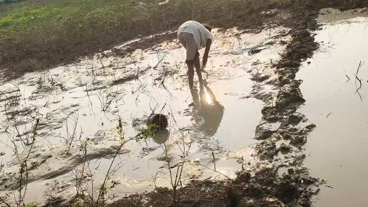 Saravani garden 🏡