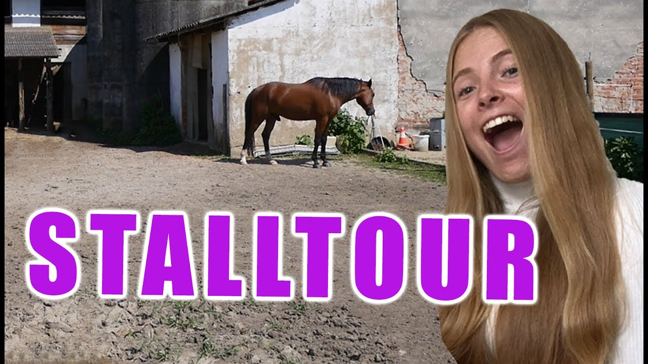 So sieht MEIN EIGENER PFERDESTALL aus!! 😍 Stallrundgang & Stalltour 🐎