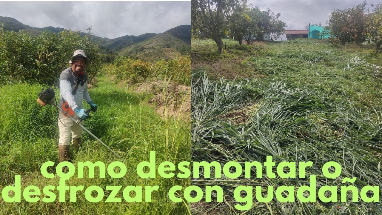 Como operar y Desbrozar con Guadaña correctamente