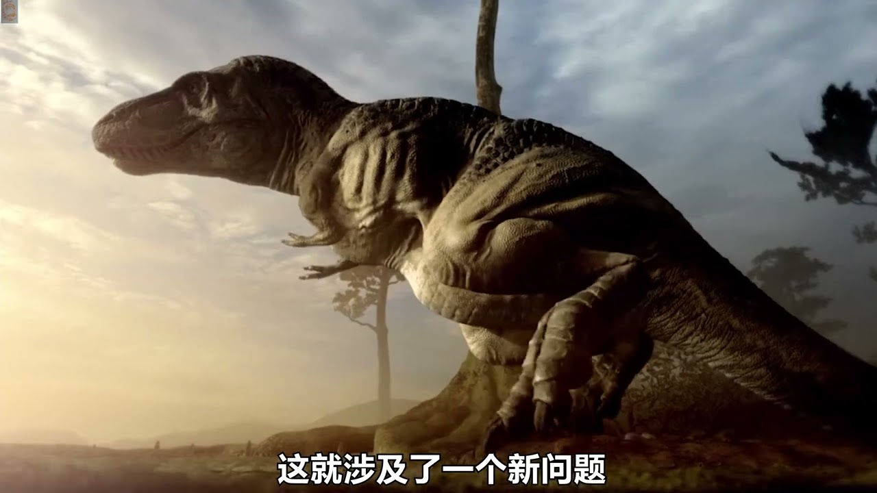 羊膜动物的起源时间被推翻？ 