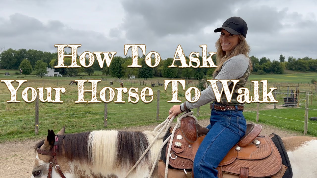 Lesson 1: How To Ask Your Horse To Walk