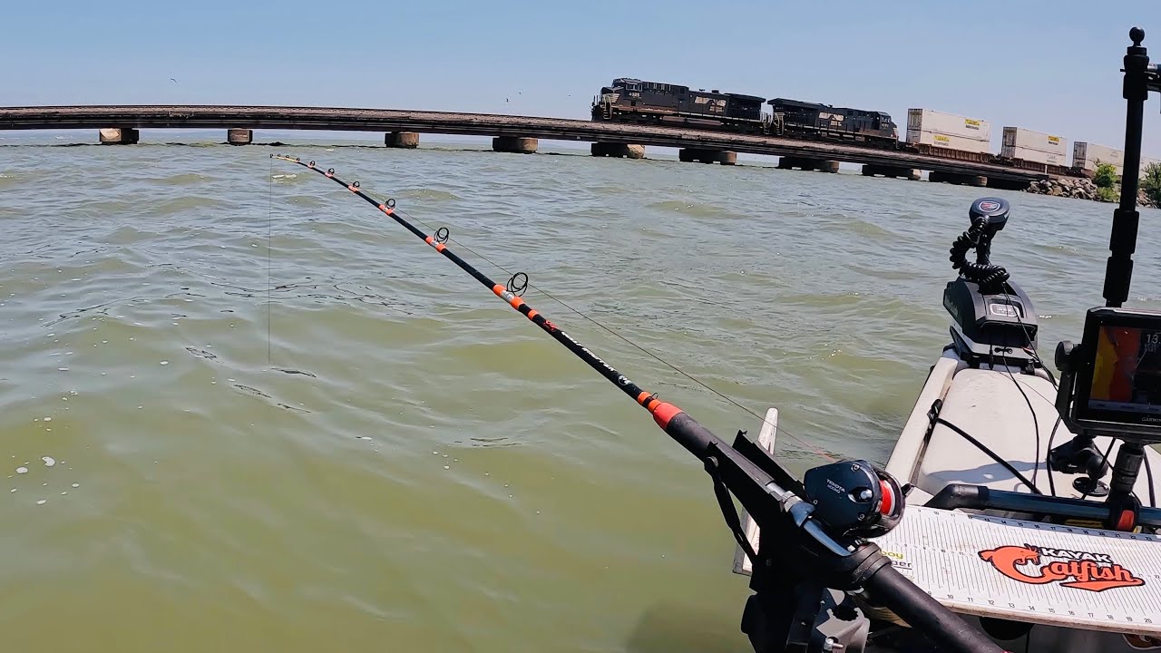 I Went To Channel Catfish HELL - Sandusky Bay Ohio