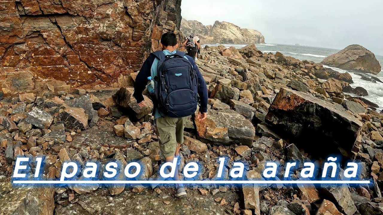 El Paso De La Araña ft @zaczri 