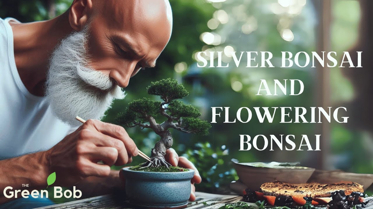 Silverberry Tree Bonsai (Bonsai Diary) #85