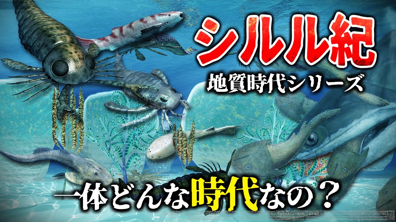 【ゆっくり解説】地質時代シリーズ　シルル紀とは一体何なのか？