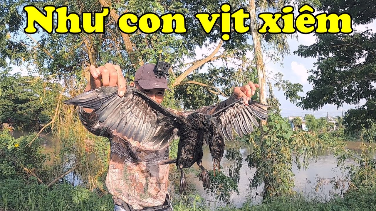 Đẳng cấp góc bắn truyền thống || Đảm Nguyễn