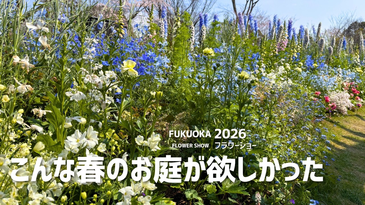 こんな春のお庭を作りたい Fukuoka Flower Show 2026 福岡フラワーショーに学ぶ春のお庭作り