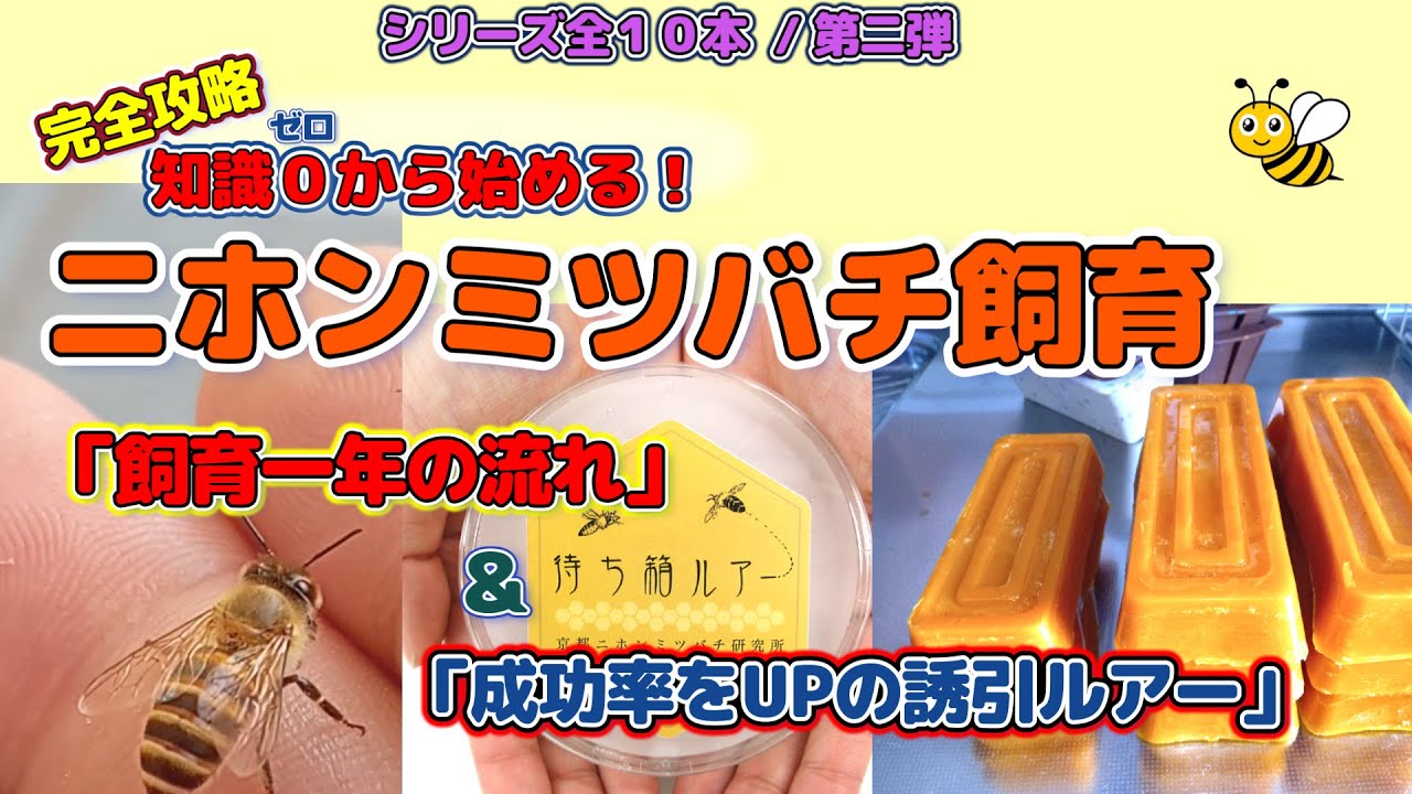 -知識から始めるニホンミツバチ養蜂-シリーズ第二弾！「ニホンミツバチ飼育一年の流れ」と「入居の成功率をUPさせる誘引ルアー」について、お話します。