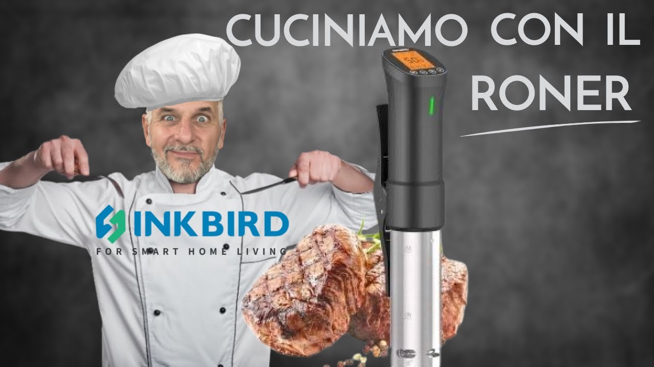 Roner Inkbird ISV 200W