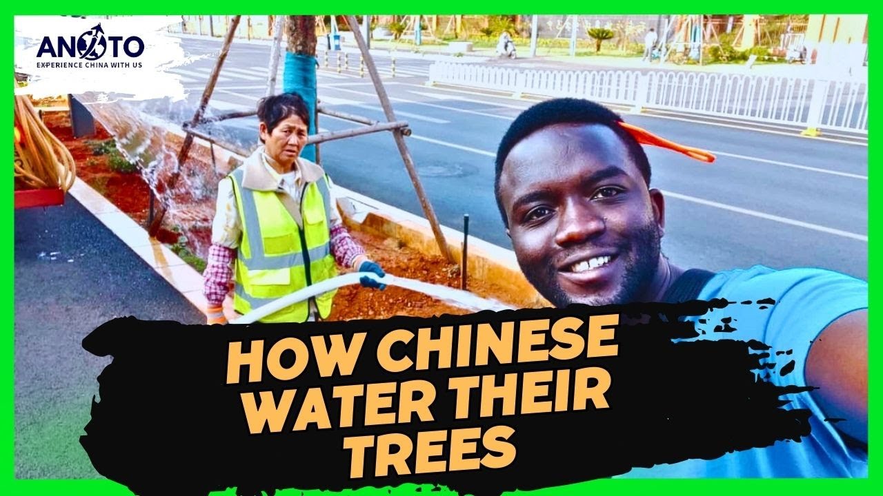 I Was Shocked! How China Waters Its City Trees Will Blow Your Mind! 😱🇨🇳