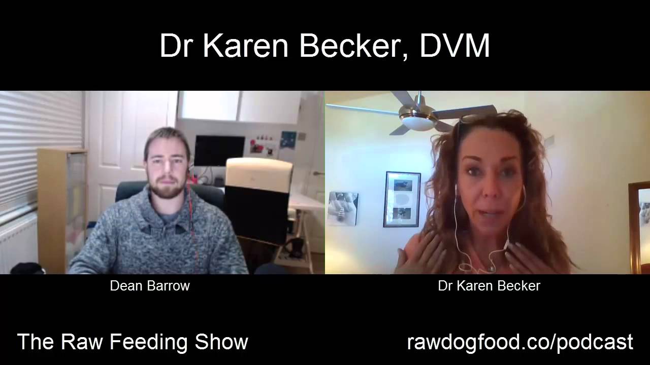 The Raw Feeding Show #2 with Karen Becker