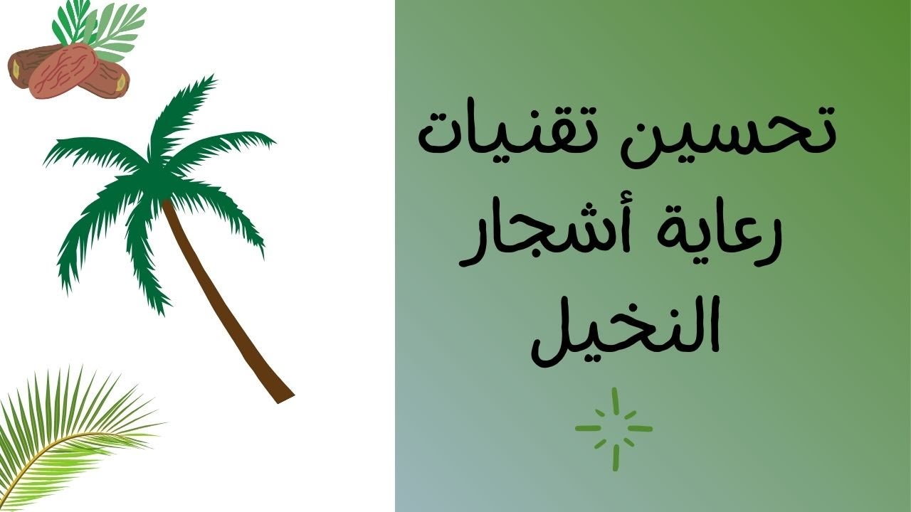 2 عملية مهمة في رعاية أشجار النخيل، إكتشفهما؟