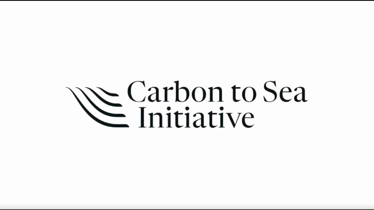 Carbon to Sea Ocean Pavilion Partner Video