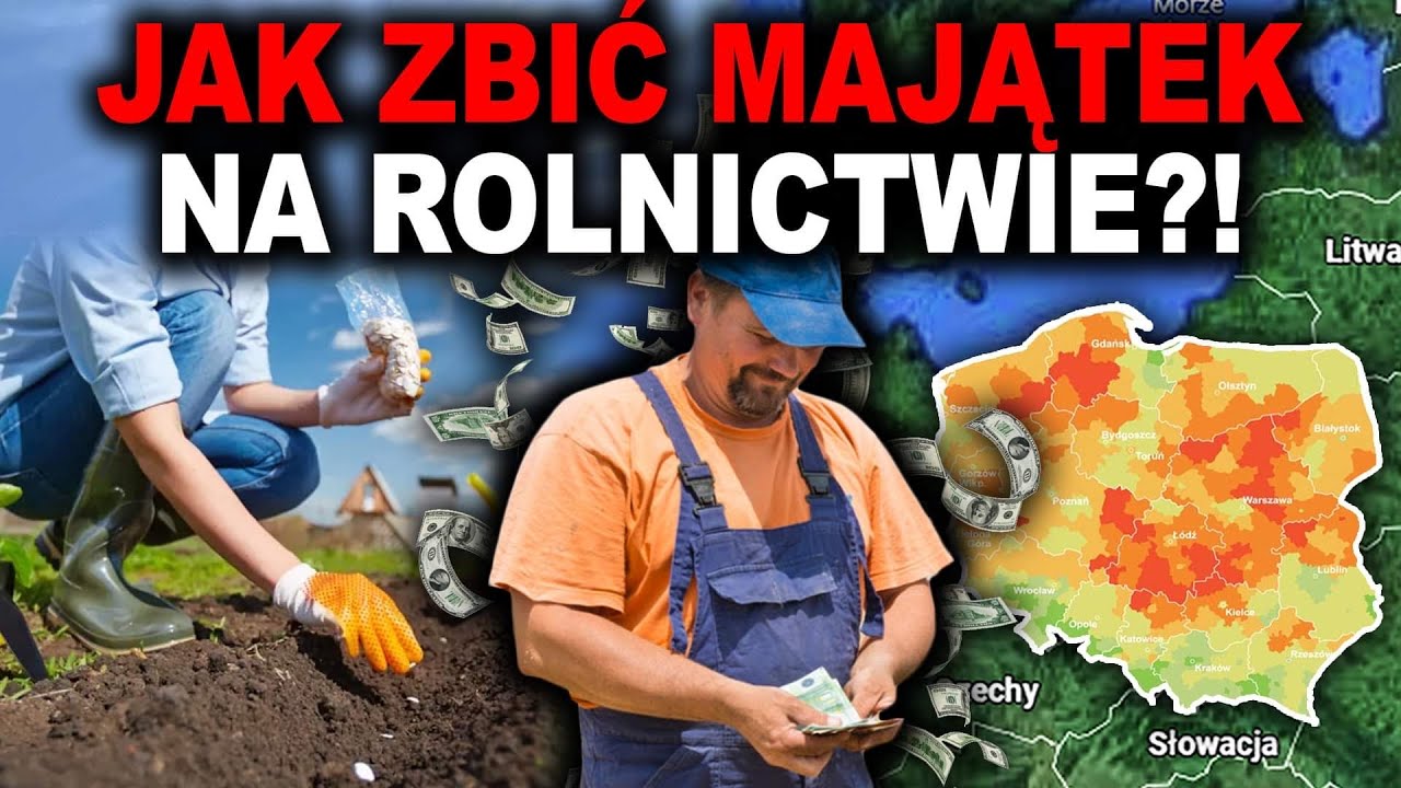 JAKIE UPRAWY PRZYNOSZĄ NAJWIĘKSZY ZYSK? - rolnictwo jest opłacalne?