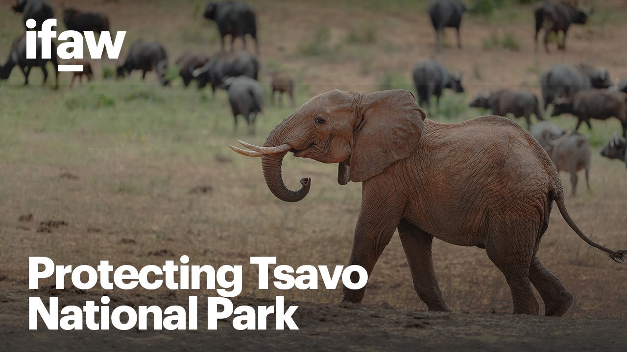 Tsavo National Park: a critical landscape in Kenya