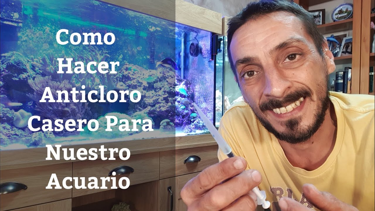 🔵 Como Hacer Anticloro Casero Para Nuestro Acuario (Acuarios MB)