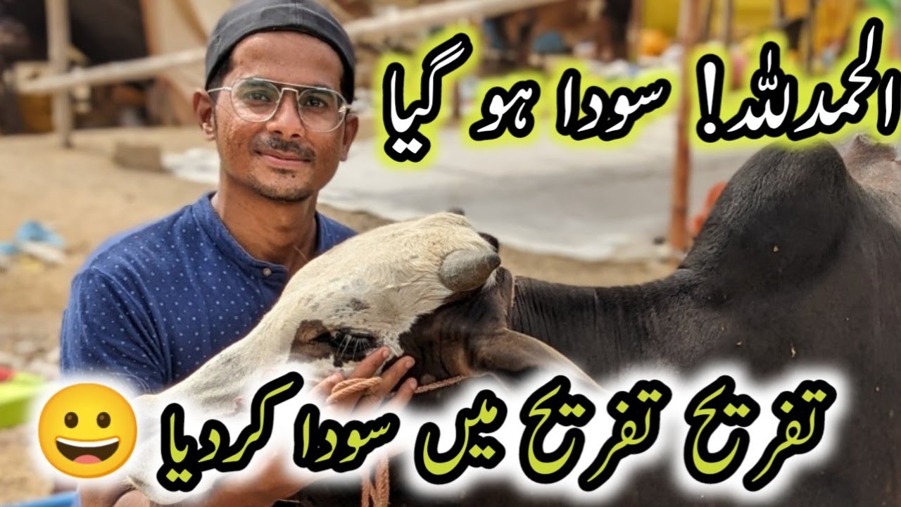 Final Bachra Lelia 🤩 ||Tafreeh Soda ||Northern Bypass Mandi Rates Down ||B4BIRDS