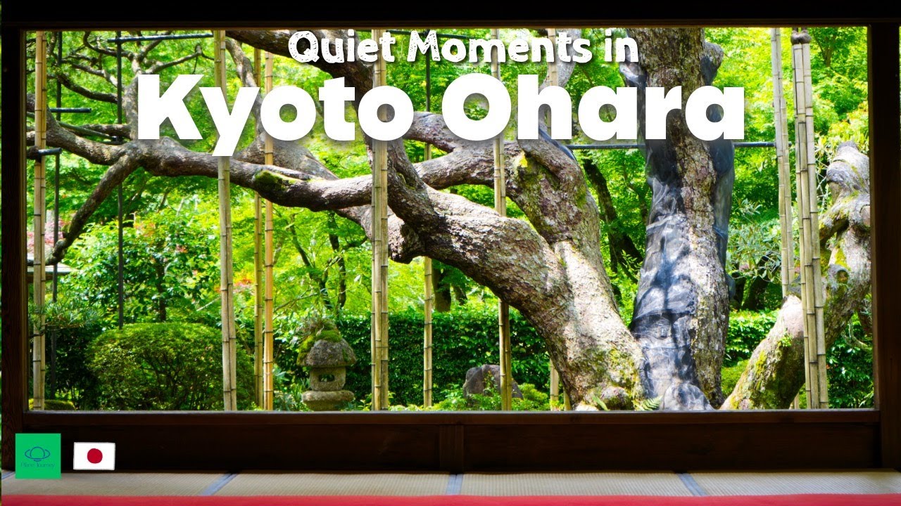 Quiet moments in Ohara - Kyoto countryside - | In Search of Peace: Gardens of Green and Moss