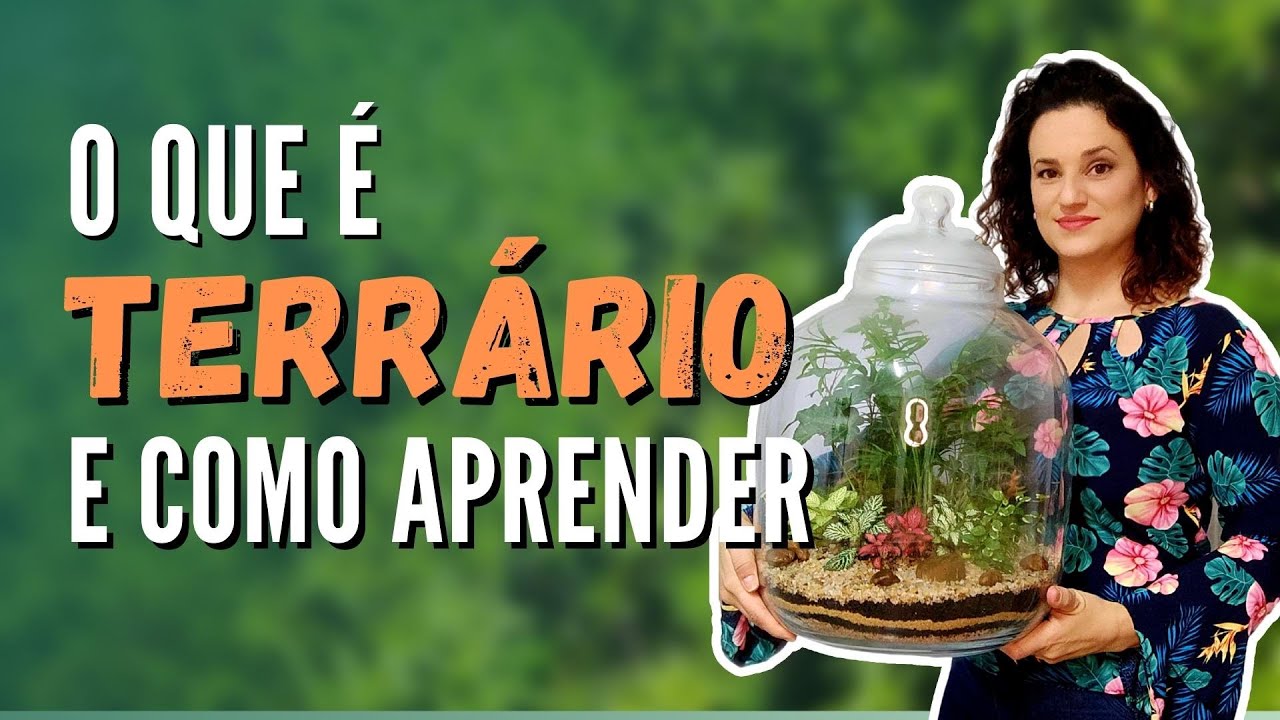 O que é terrário e como aprender?