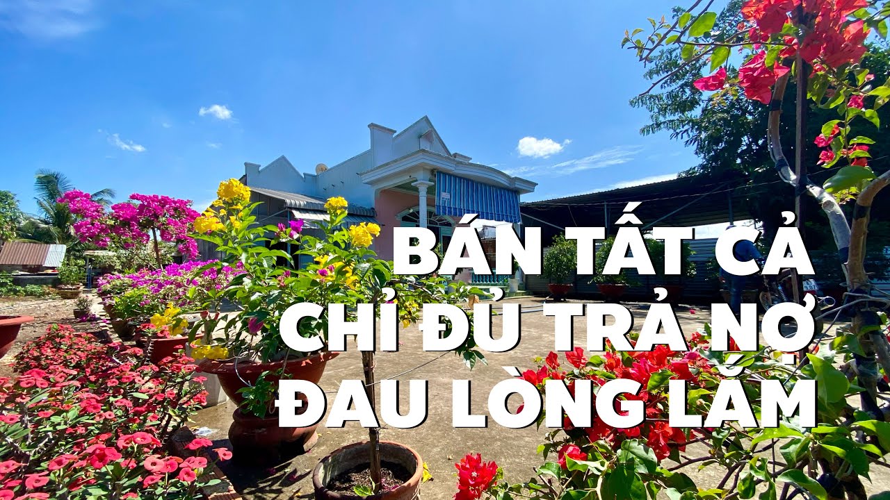 Xót xa bán nhà vườn tâm huyết ở BR-VT vị trí đẹp chỉ hơn 2 tỷ để dứt điểm nợ nần (ĐÃ BÁN)