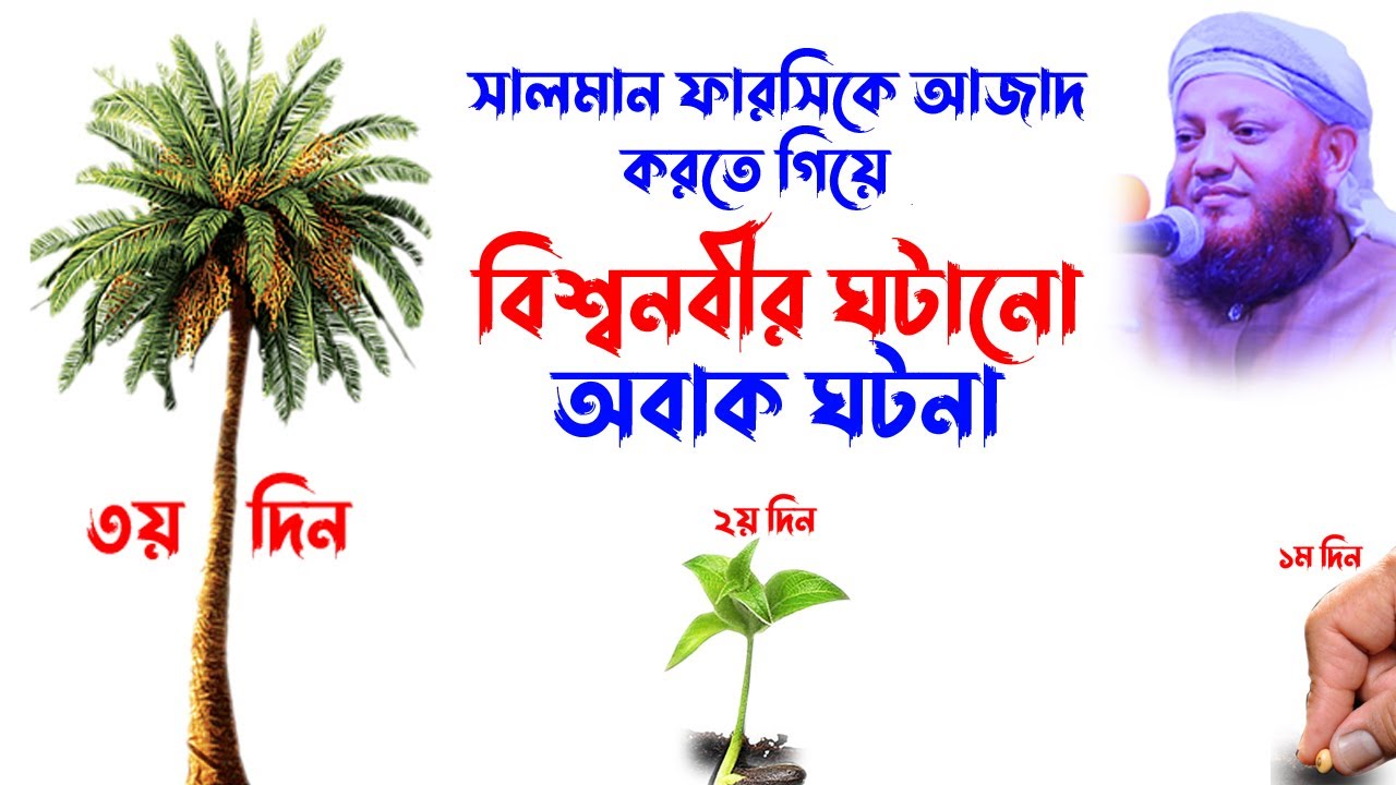 Kamrul Islam Arefi | কামরুল ইসলাম আরেফী | Waz  | Kamrul Islam Arefi  Waz | ৩০০ খেজুর গাছ