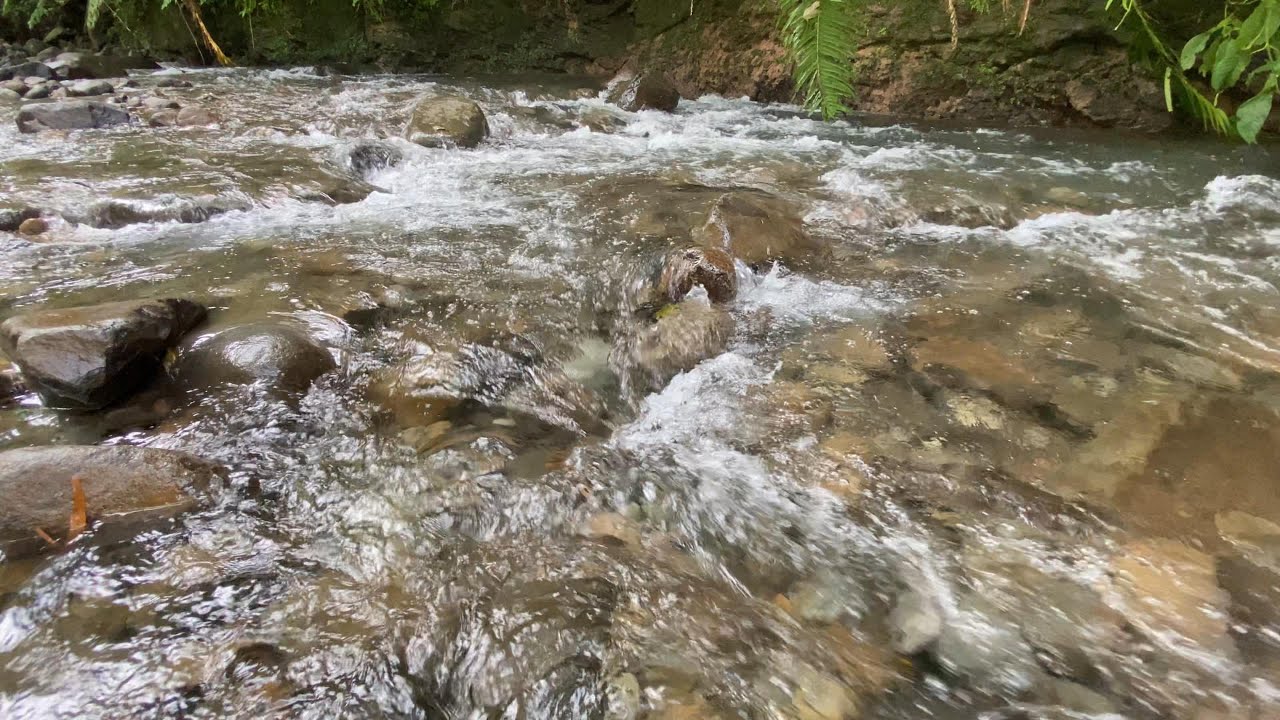 Gentle River Flow, Tranquil Forest Soundscape for Sleeping and Relaxation – 3 Hours