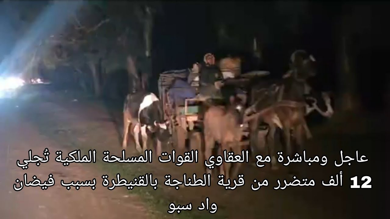 عاجل مع العقاوي القوات المسلحة الملكية تُجلي 12 ألف متضرر من قرية الطناجة بالقنيطرة بسبب فيضان