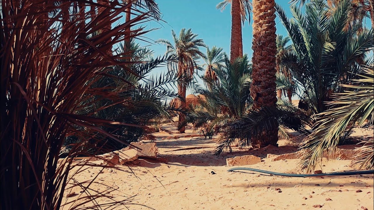 Cinematic short clip | Oued Souf | Guemar