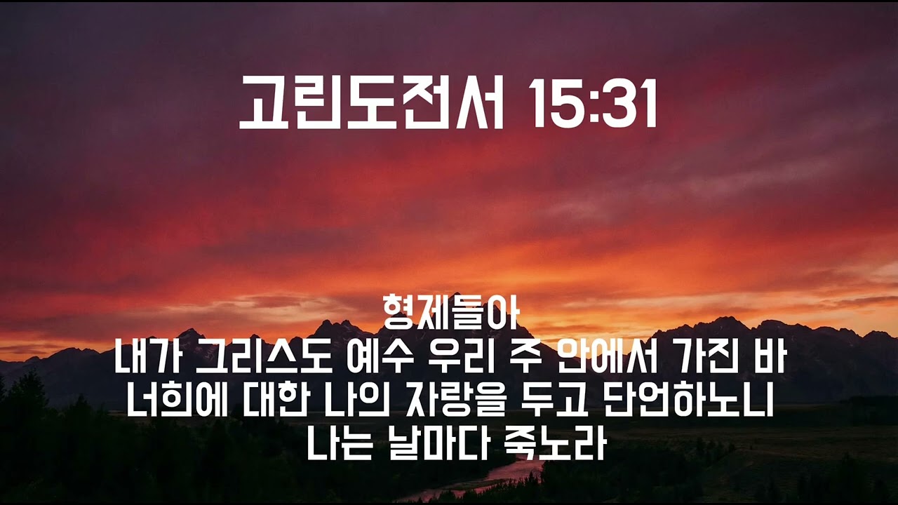 고린도전서 15:31 