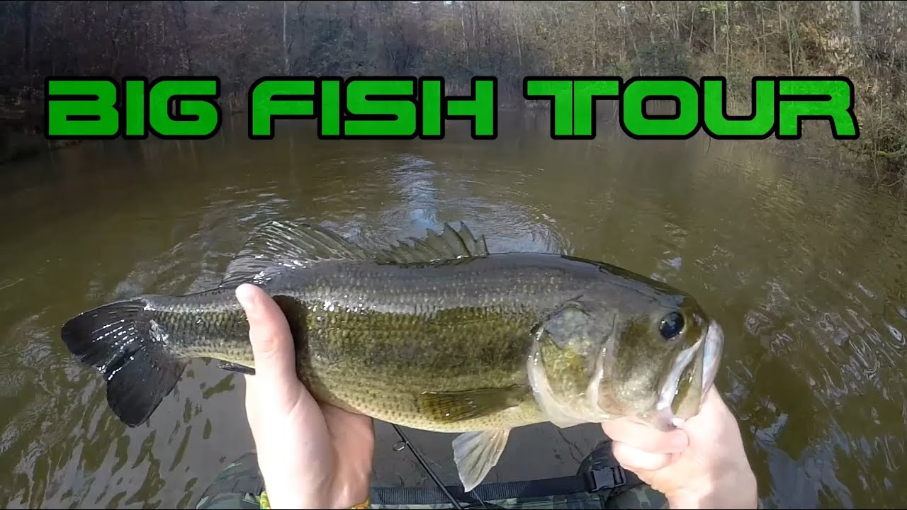 Big fish tour - A Black Bass in inverno !!