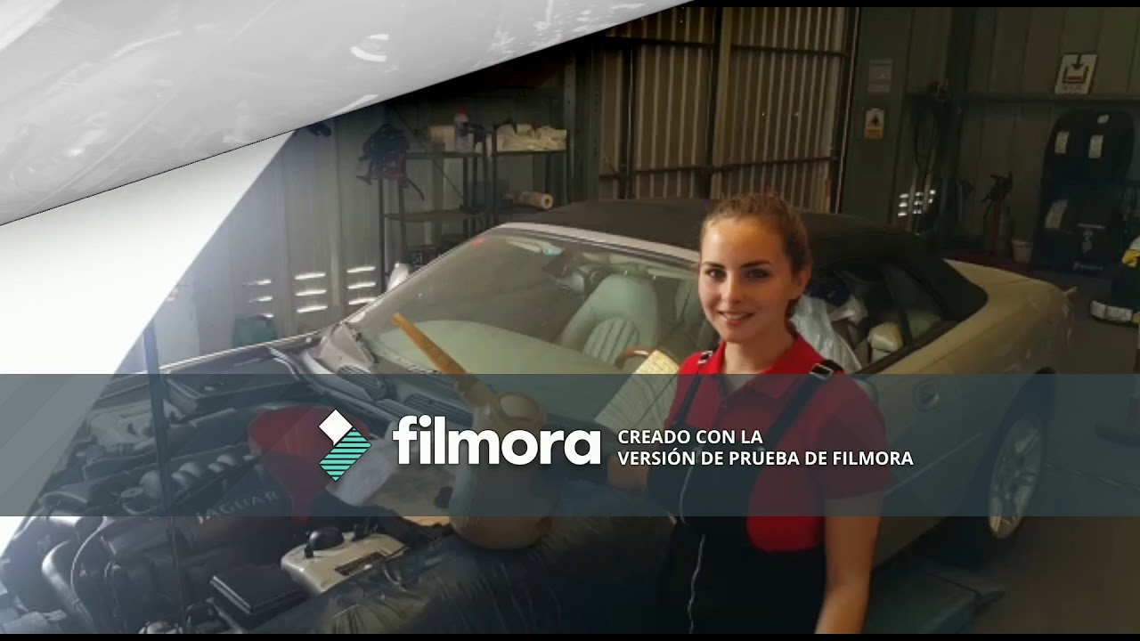 Cambio de aceite y filtro de aceite (Monica Cassandra Limongelli)