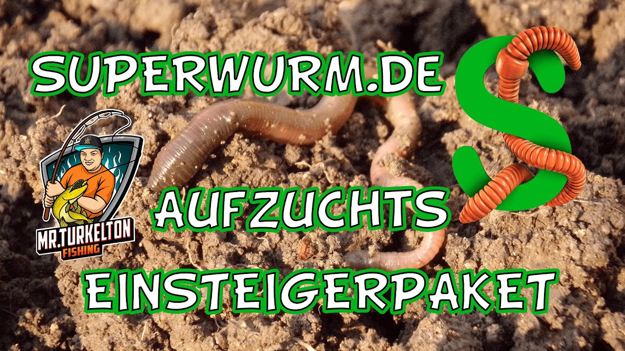 Nun wird gezüchtet! Das Regenwurmkokons Zuchtset von SuperWurm!