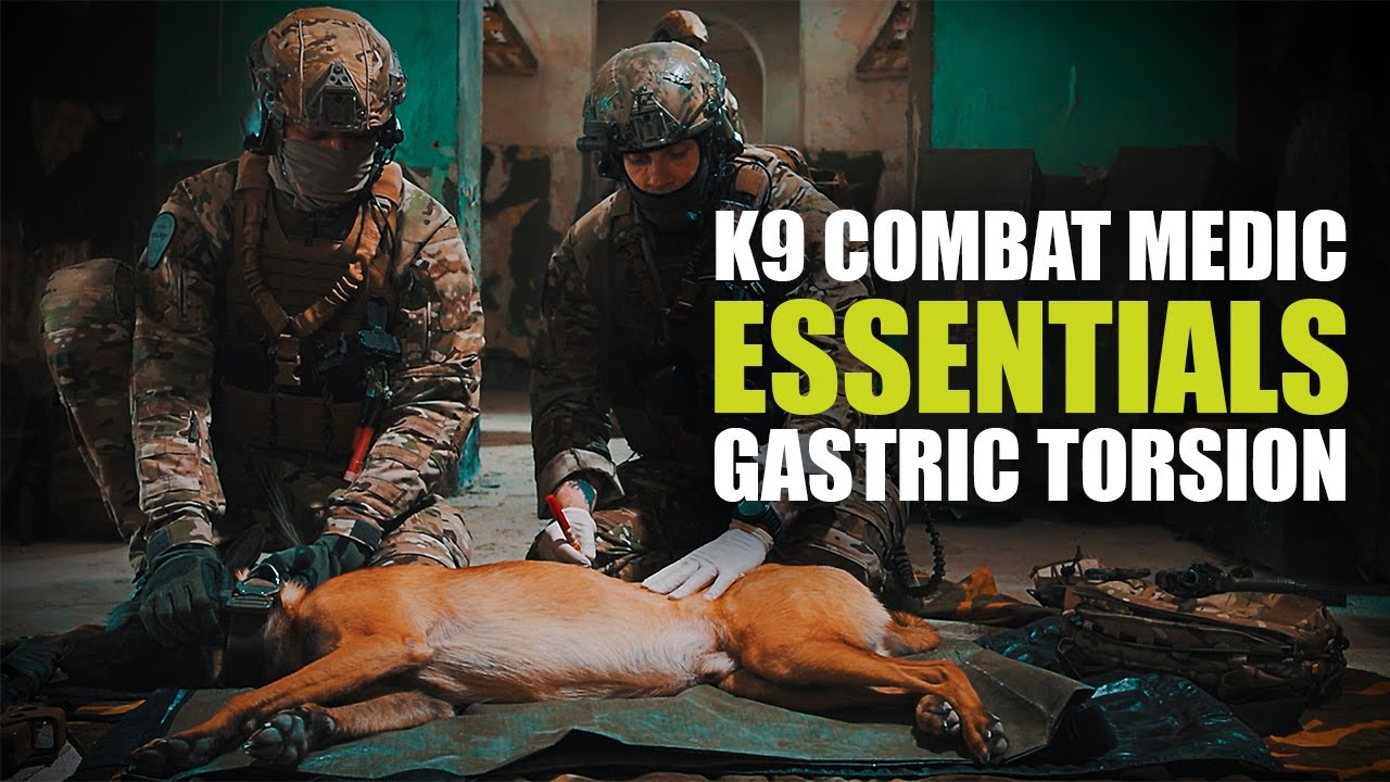 Pro's Guide to K9 Combat Medic Essentials | Gastric Torsion