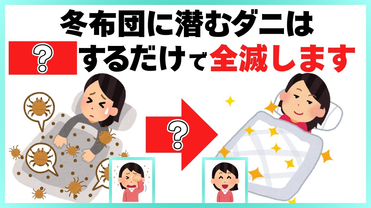 布団のダニを99％減らす冬の最強対策5選｜生活がラクになるライフハック雑学