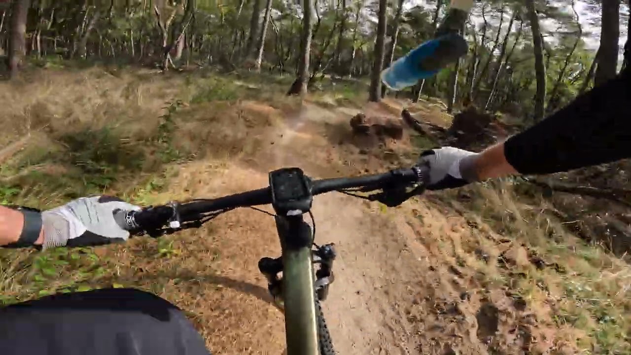 MTB LDD ( Loonse en Drunense Duinen ) Black route 2025-09-19