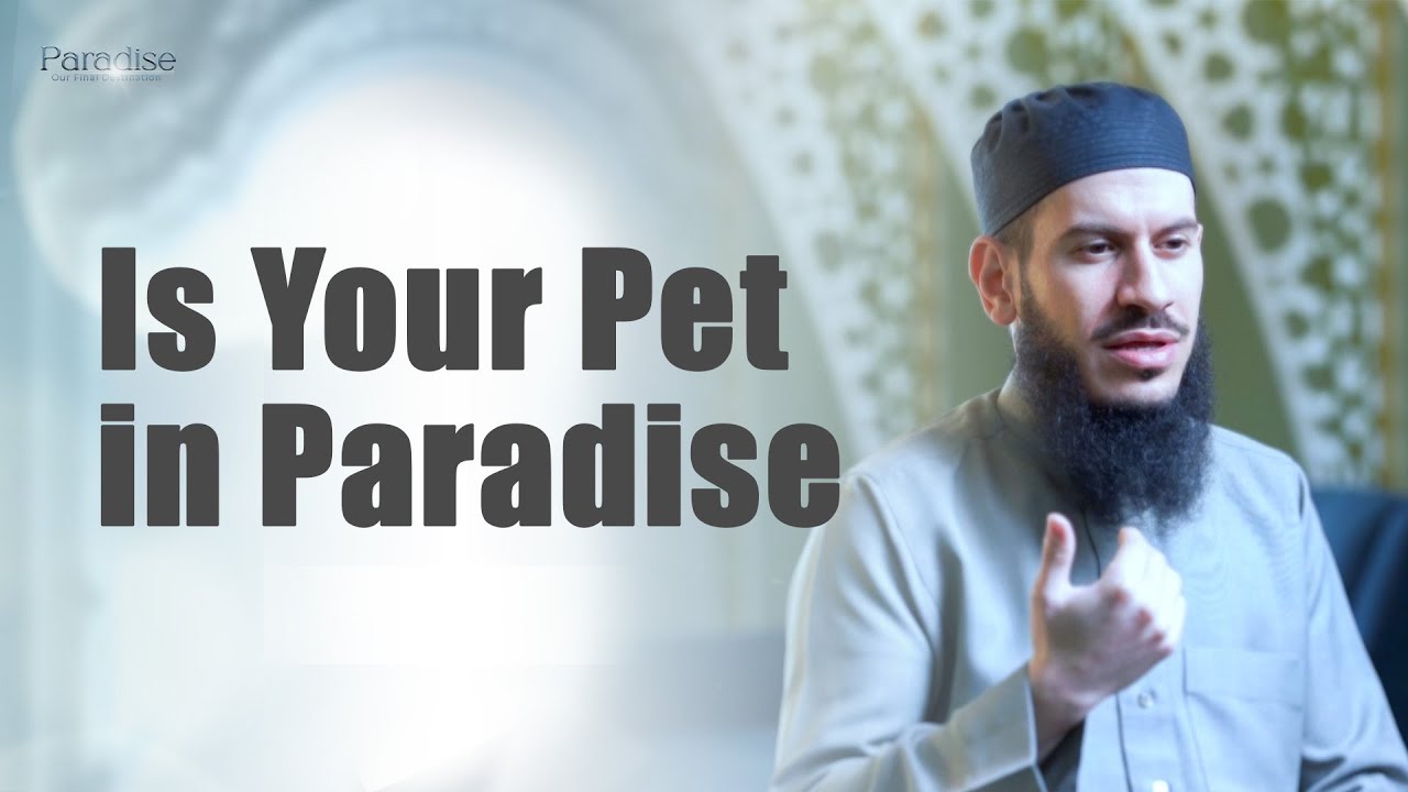 Is Your Pet in Paradise | Episode 9 | Paradise series with Suleiman Hani