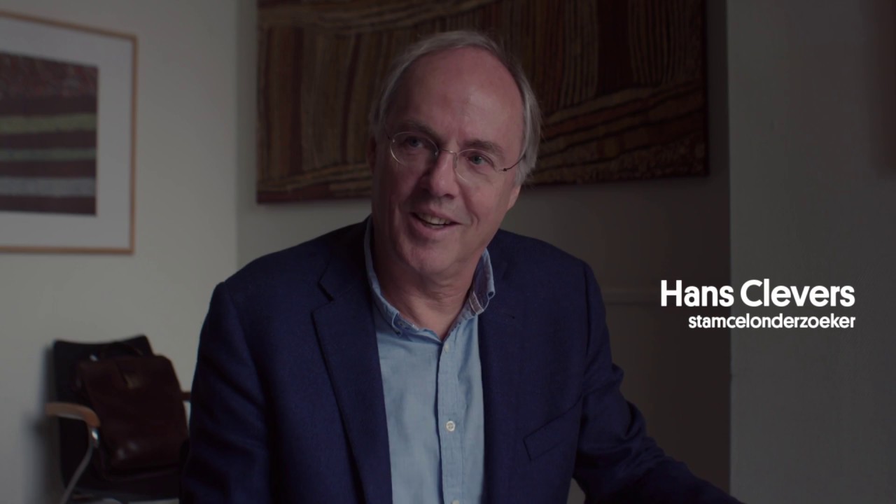 Wat kan stamcelonderzoek betekenen voor COPD?